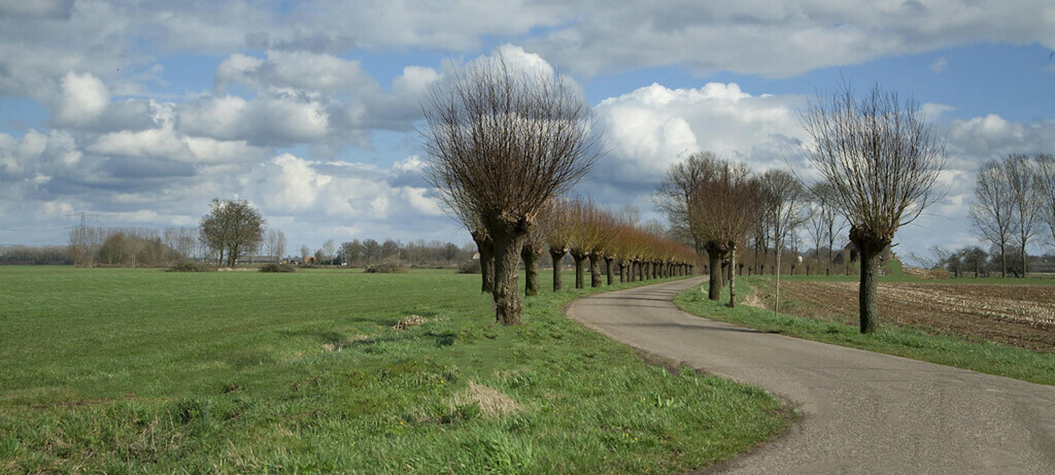 Het sociale platform van Wehl en Nieuw-Wehl voor meer ontmoetingen