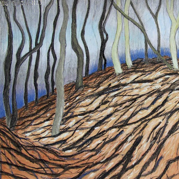 Actie kunstverkoop voor het Marikenhuis Nijmegen