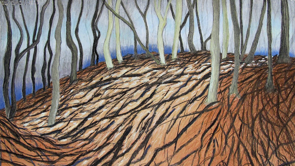 Actie kunstverkoop voor het Marikenhuis Nijmegen