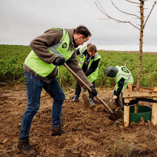 Plant mee aan de langste haag van Limburg !