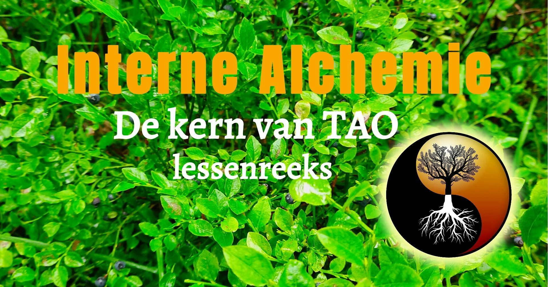 Maak kennis met de Interne Alchemie van de tao, lessenreeks