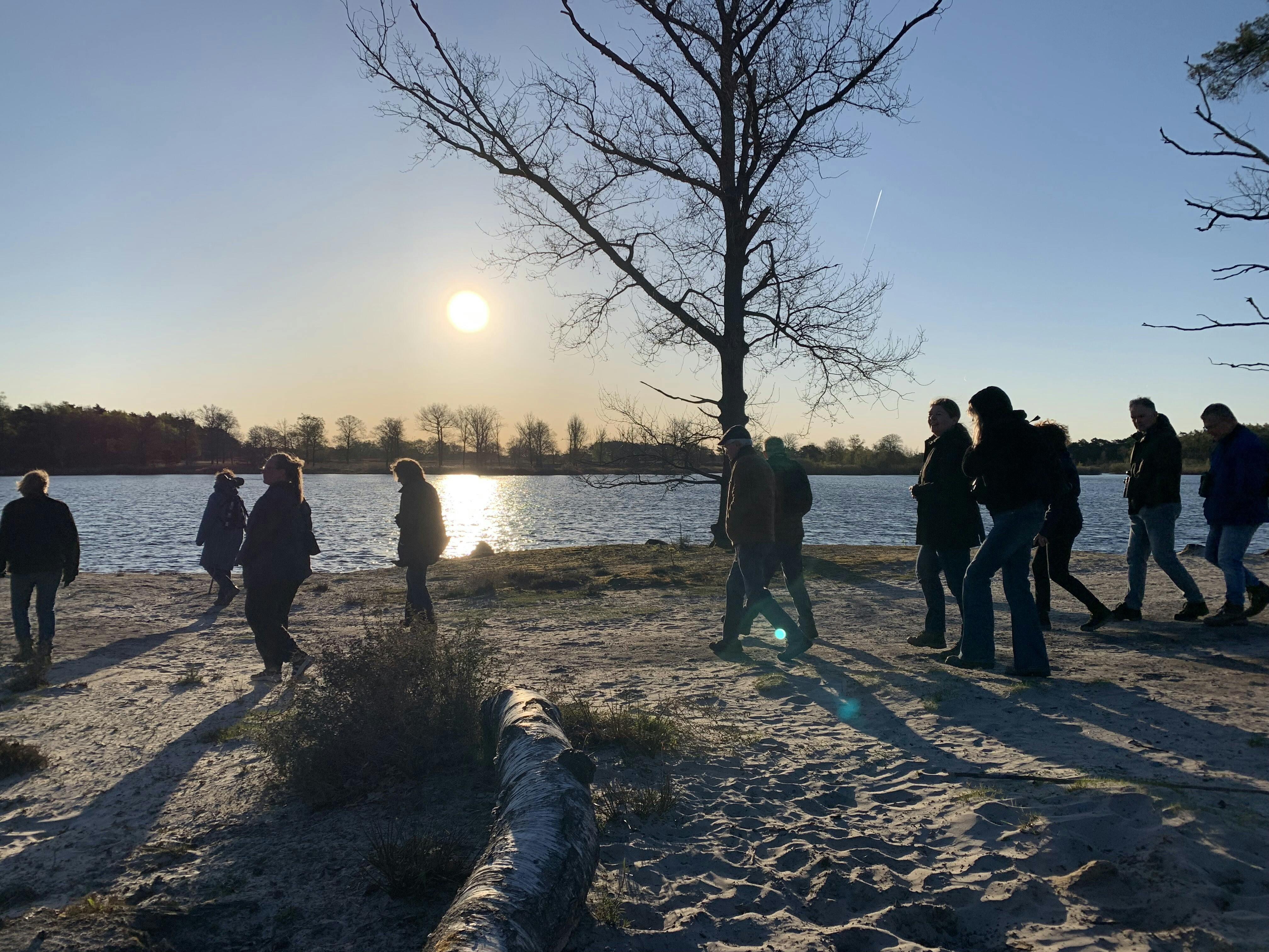 Geniet van een stevige winterwandeling met IVN Oisterwijk