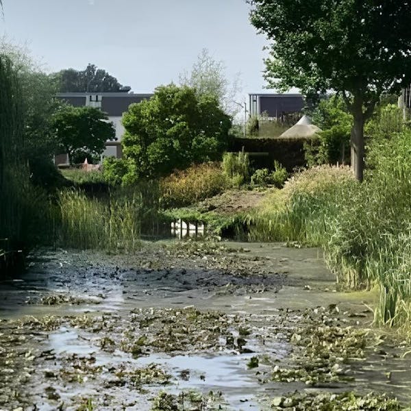 Informatieavond over groot onderhoud aan vijvers in Didam