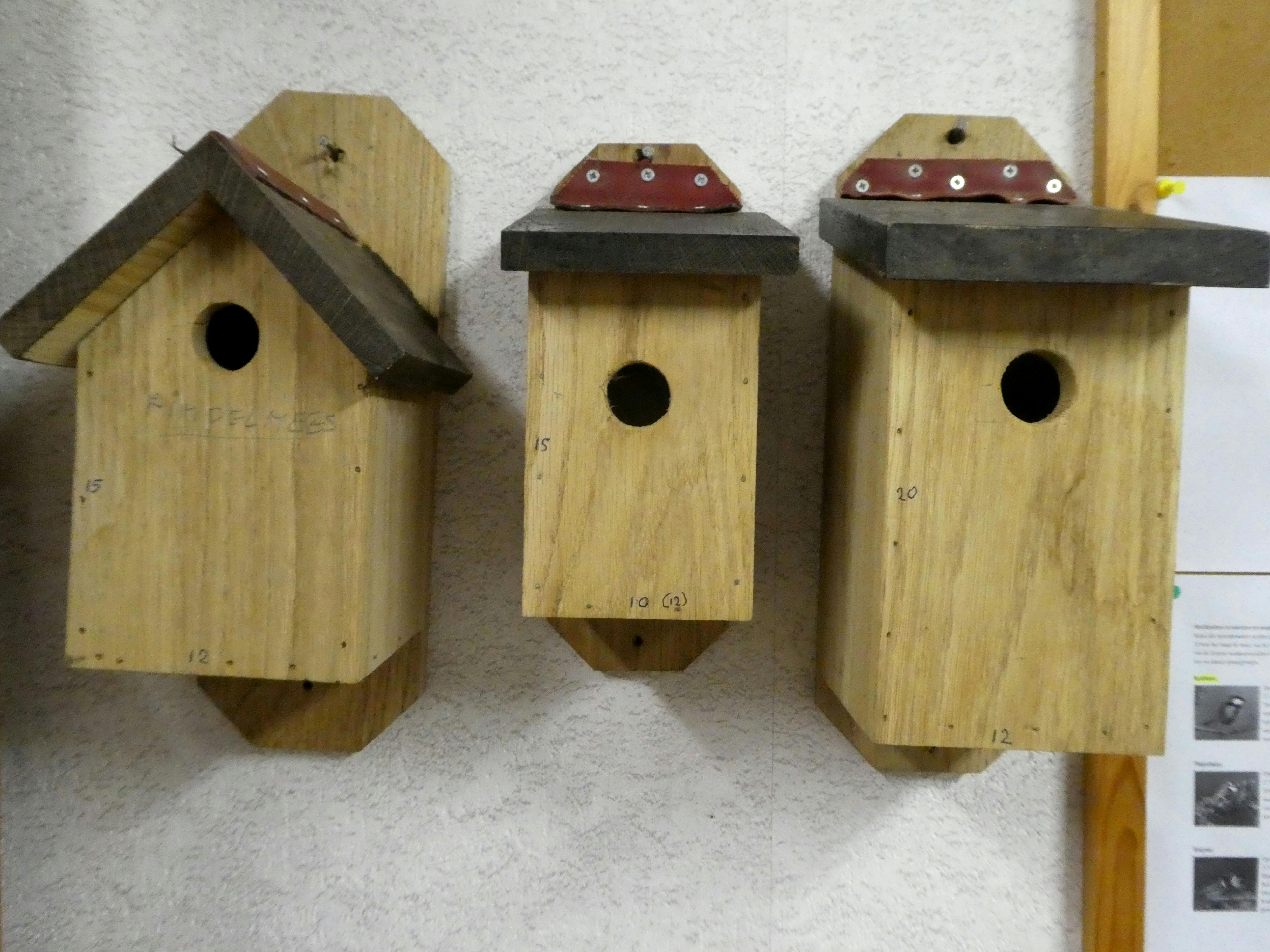 Tien keer een ochtend nestkastjes maken