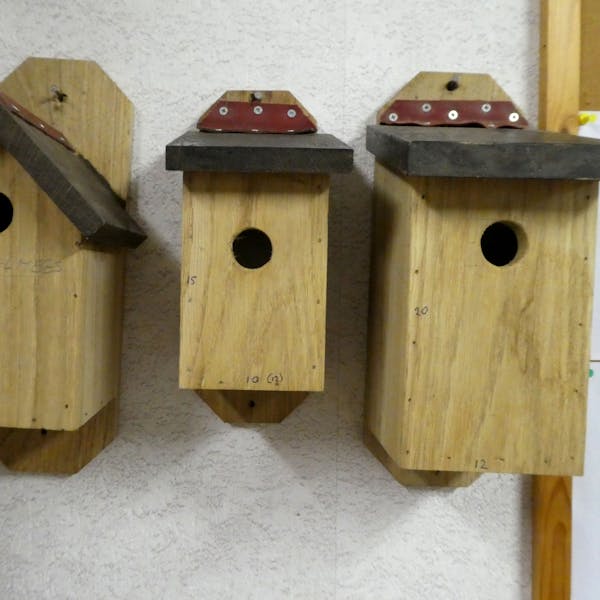 Tien keer een ochtend nestkastjes maken