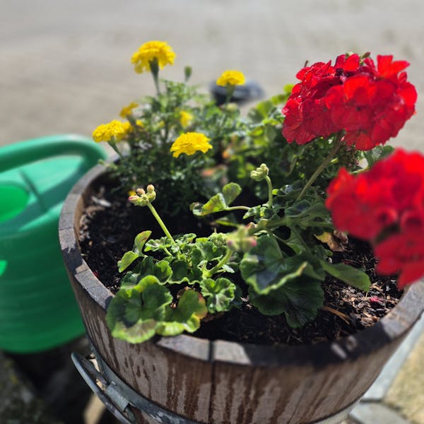 Vrijwilligers gezocht bij Zorgboerderij Hoeve Schaffersberg – Mechelen