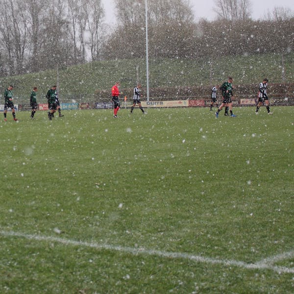 Sprinkhanen wint bij een koud De Hoven in Zutphen