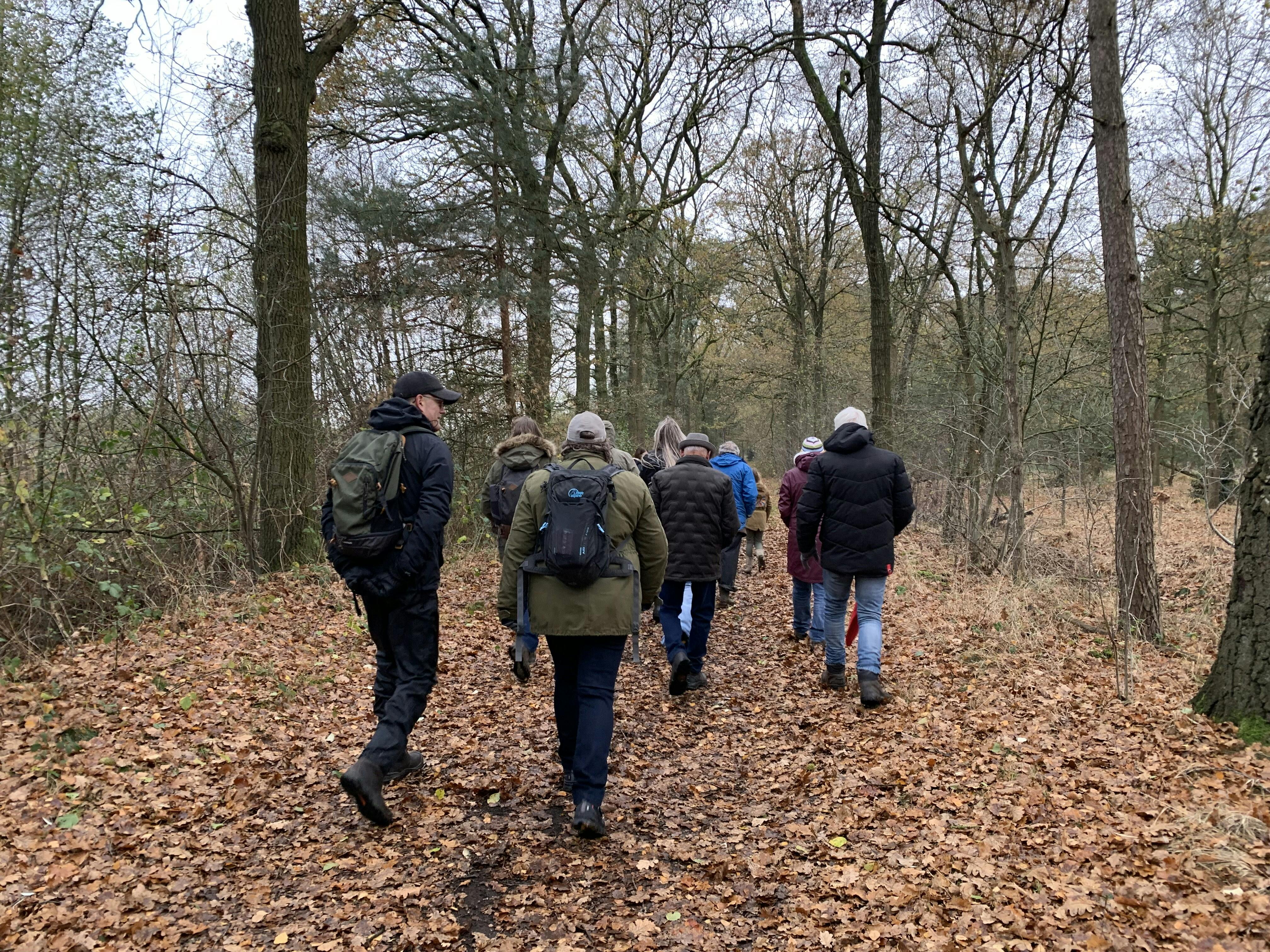 Doe mee met de actieve doorstapwandeling met IVN Oisterwijk