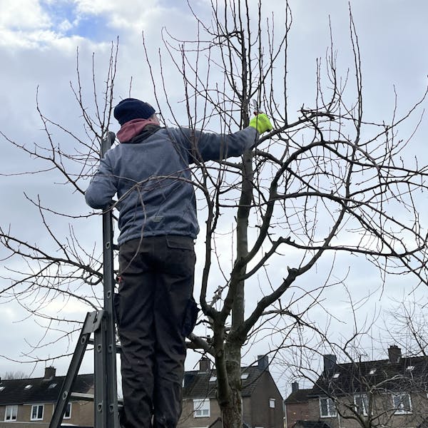 Snoeicursus voor iedereen!