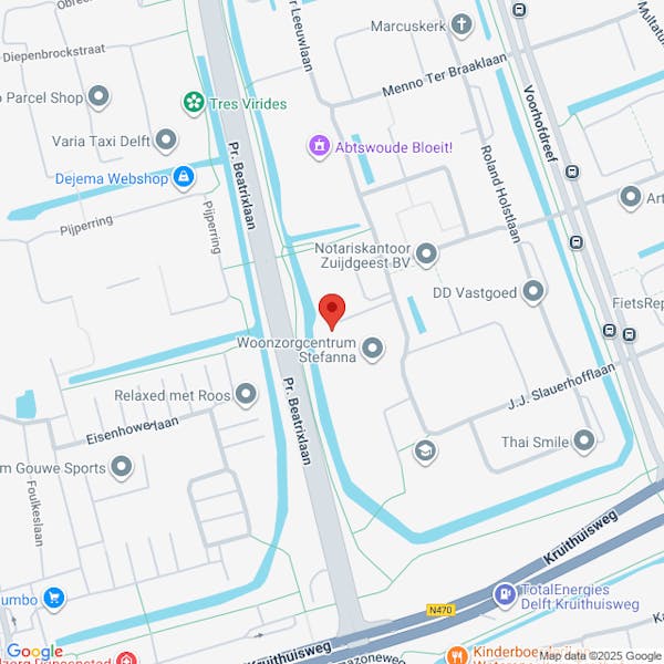 Aanvraag vergunning voor het kappen van een boom aan Aart van der Leeuwlaan Delft