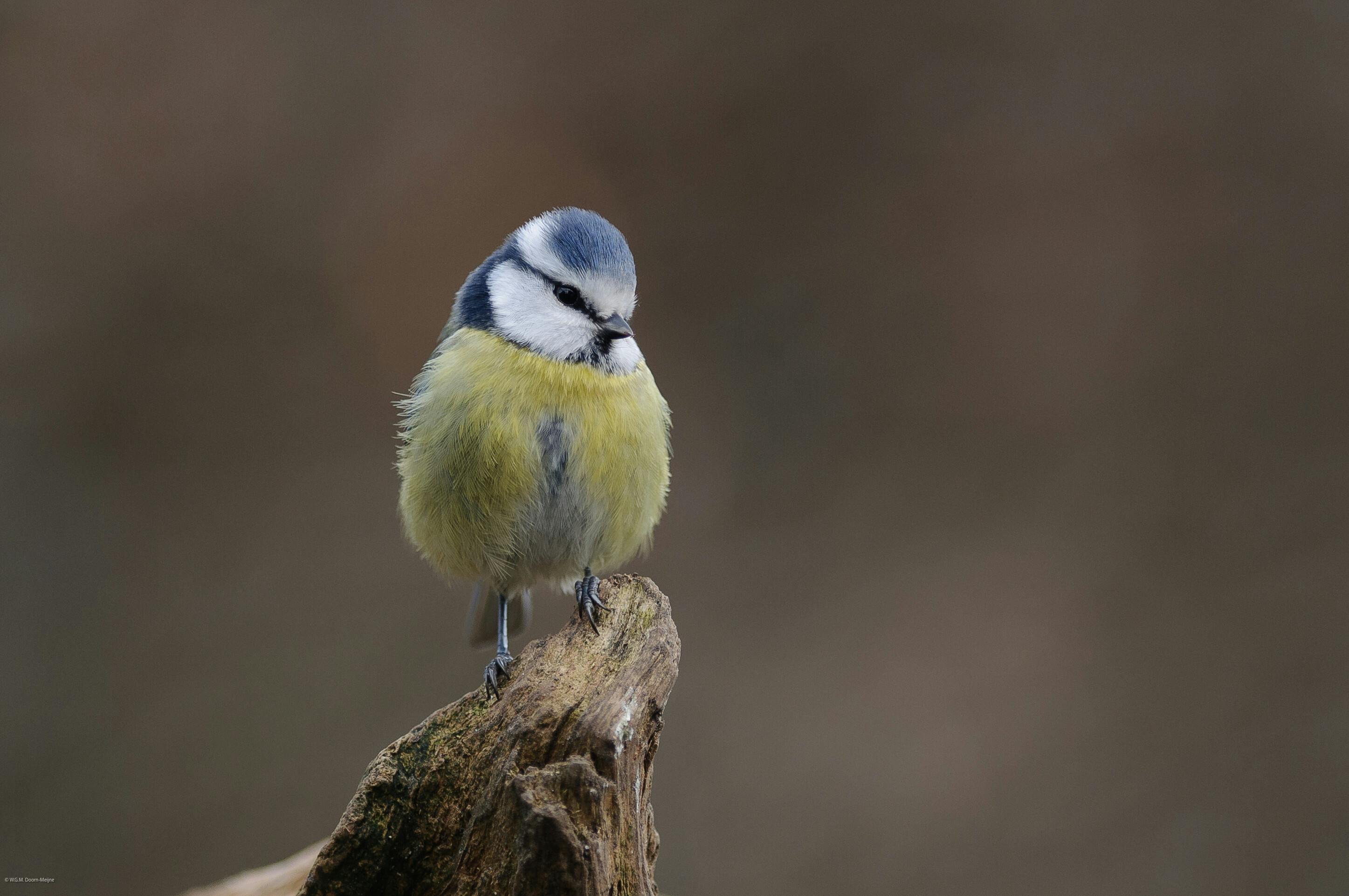 Met de camera op pad.