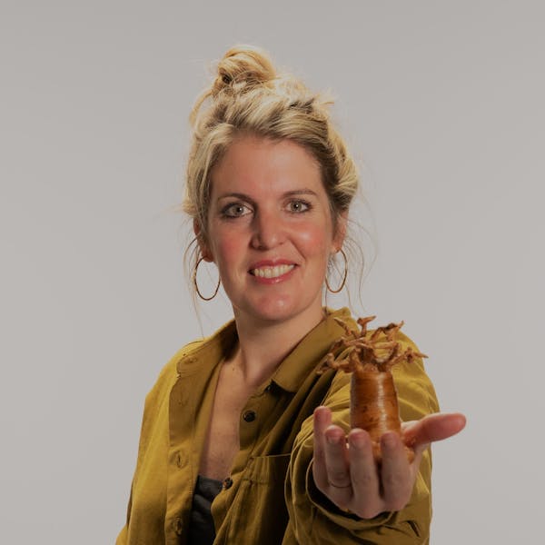 Word lid van de Baobab Kring