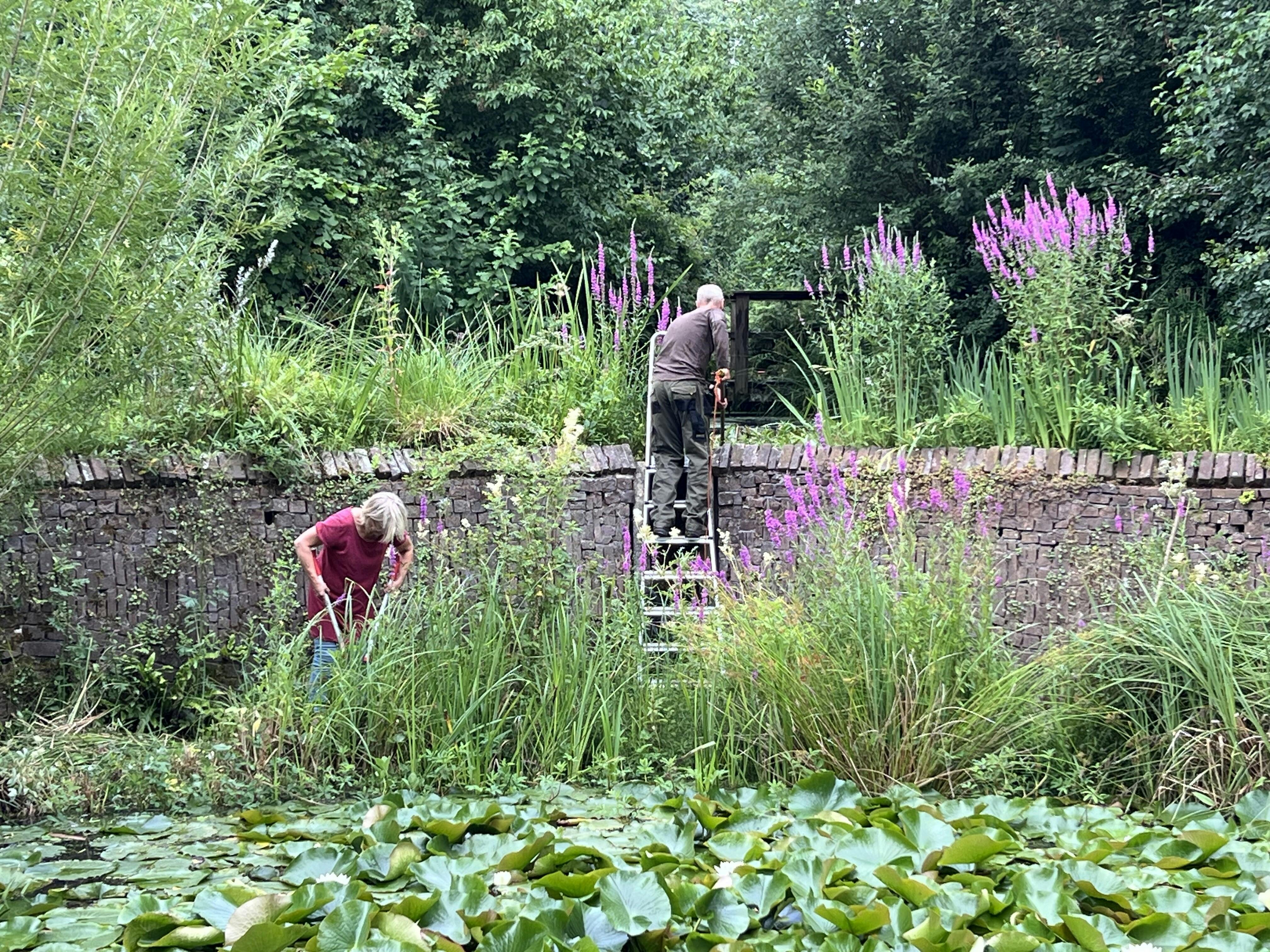Gezellig samen werken in de Watertuin
