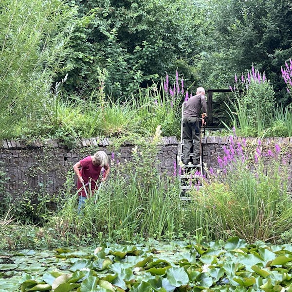 Gezellig samen werken in de Watertuin