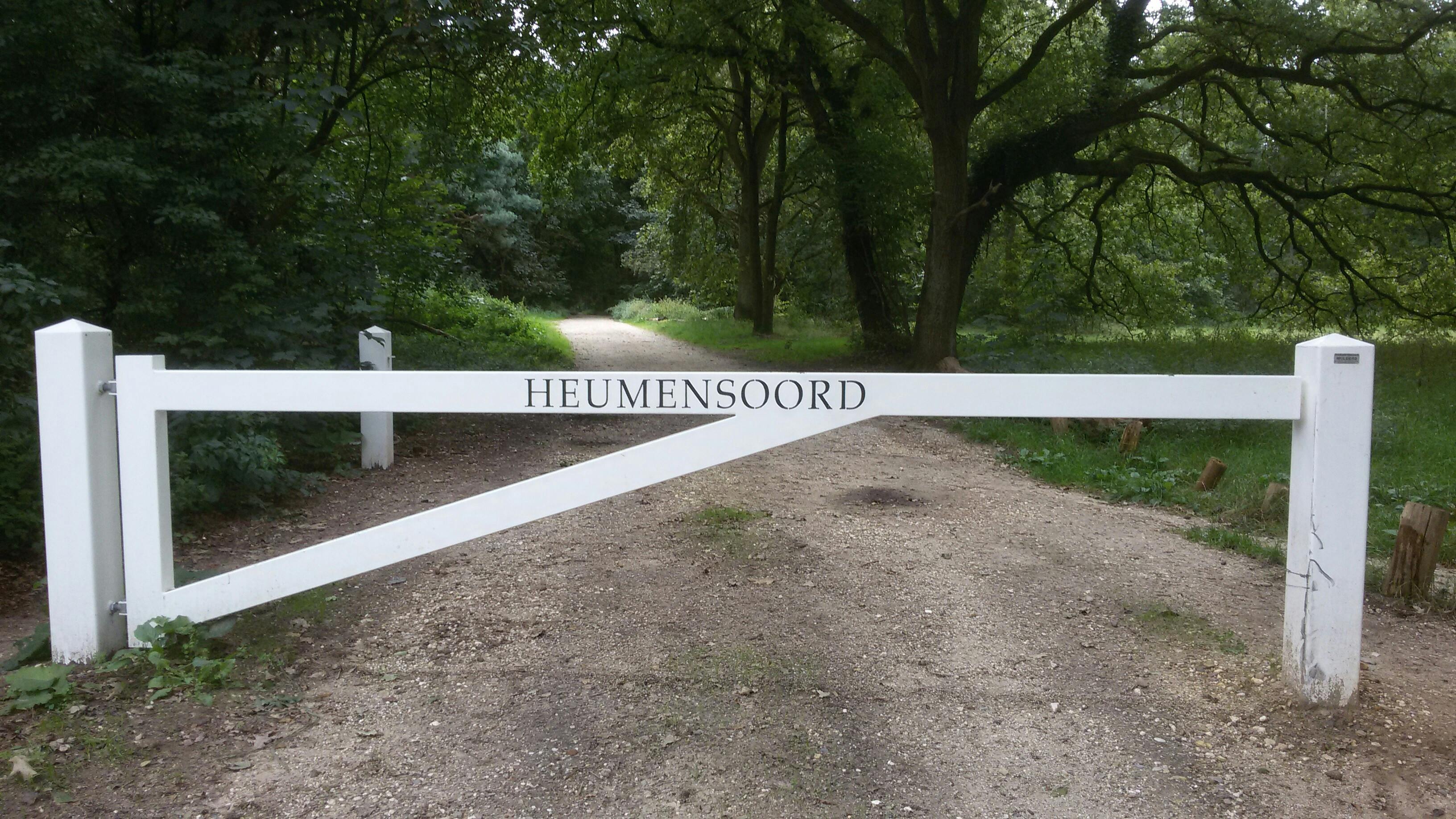 Winterstopje Heumensoord T'ai Chi