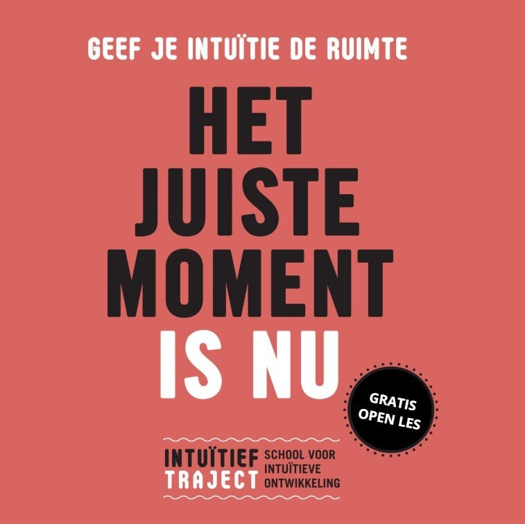 Maak kennis met intuïtieve ontwikkeling (open les)
