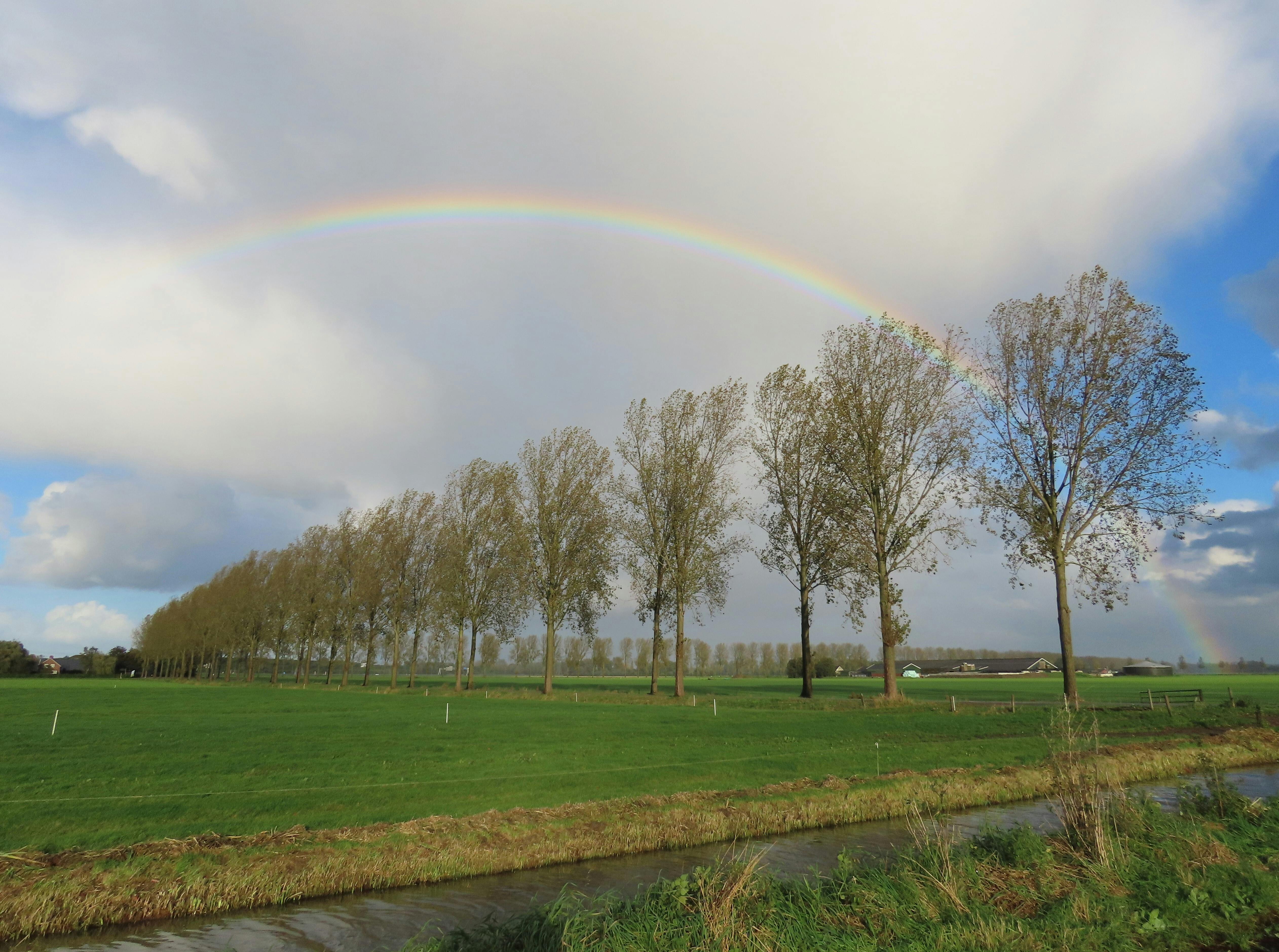Doe mee voor meer groen, versterk de natuur in Beuningen