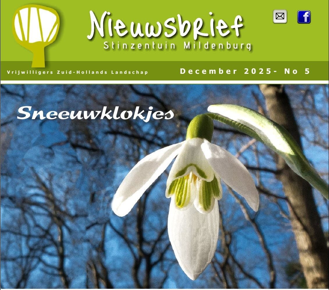 Nieuwsbrief van december - Stinzentuin \mildenburg