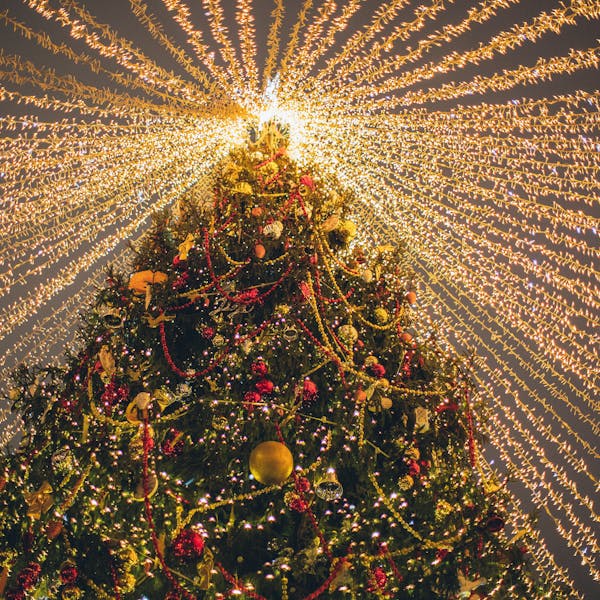 Winteropvang open tijdens de feestdagen