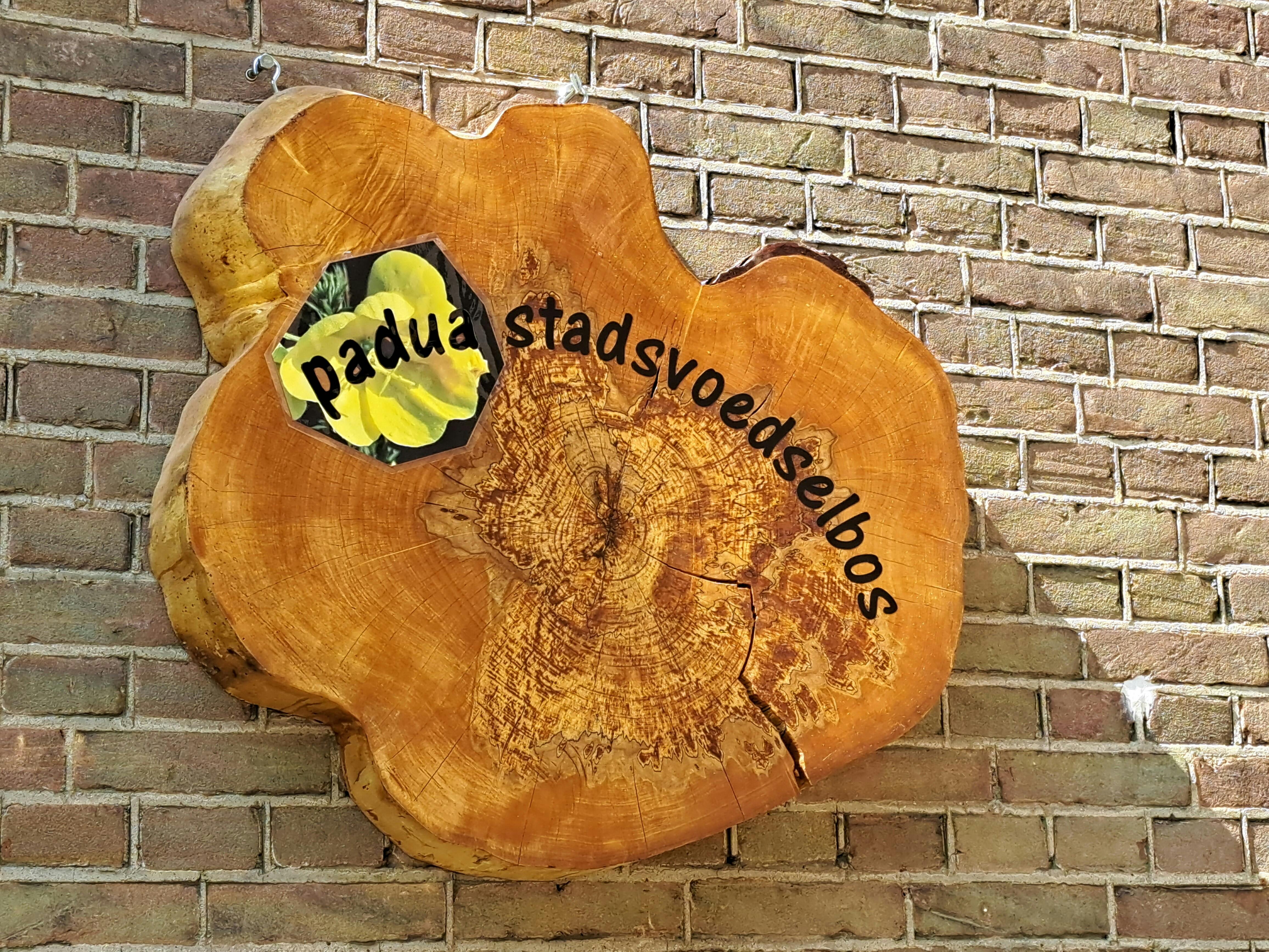 Doe Mee! Stem op het Paduastadsvoedselbos