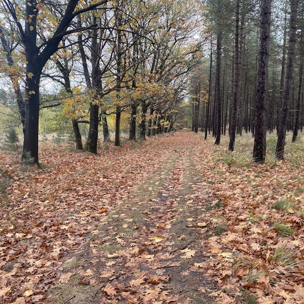 Evenementen van Seniorenvereniging HM in december