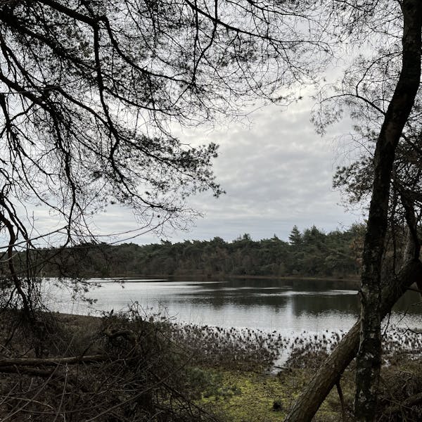Rondje Galgeven en Reusel
