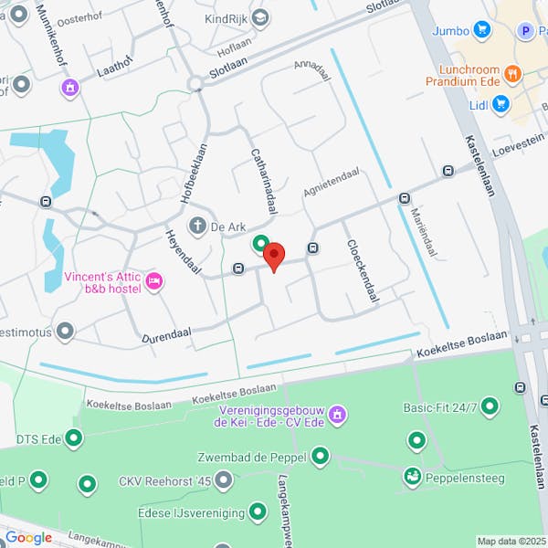 Verleend, reguliere procedure, Heyendaal 19 Ede, het kappen van 1 slangenden.