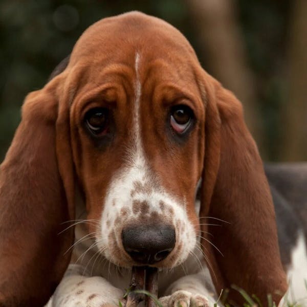 Wil jij vuurwerk afsteken met oud en nieuw?