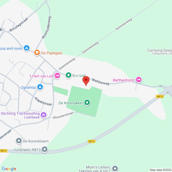 Toestemming voor Carnavalsoptocht 2026 de Vrolijke Drammers Loil , Wehlseweg 6941DM Didam optocht door de straten van Loil en Didam