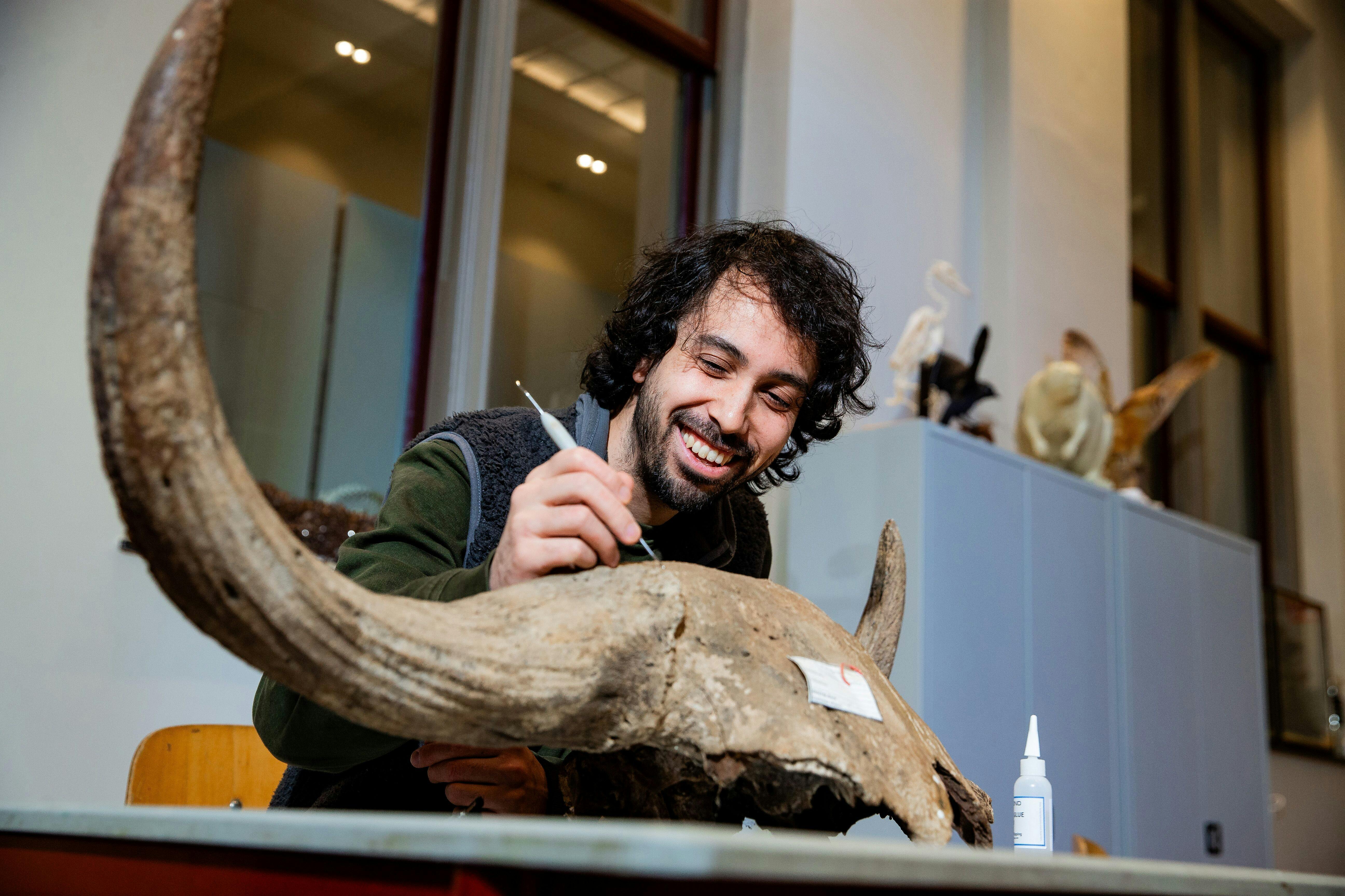 Beleef de ijstijd tijdens de kerstvakantie in Museum De Bastei