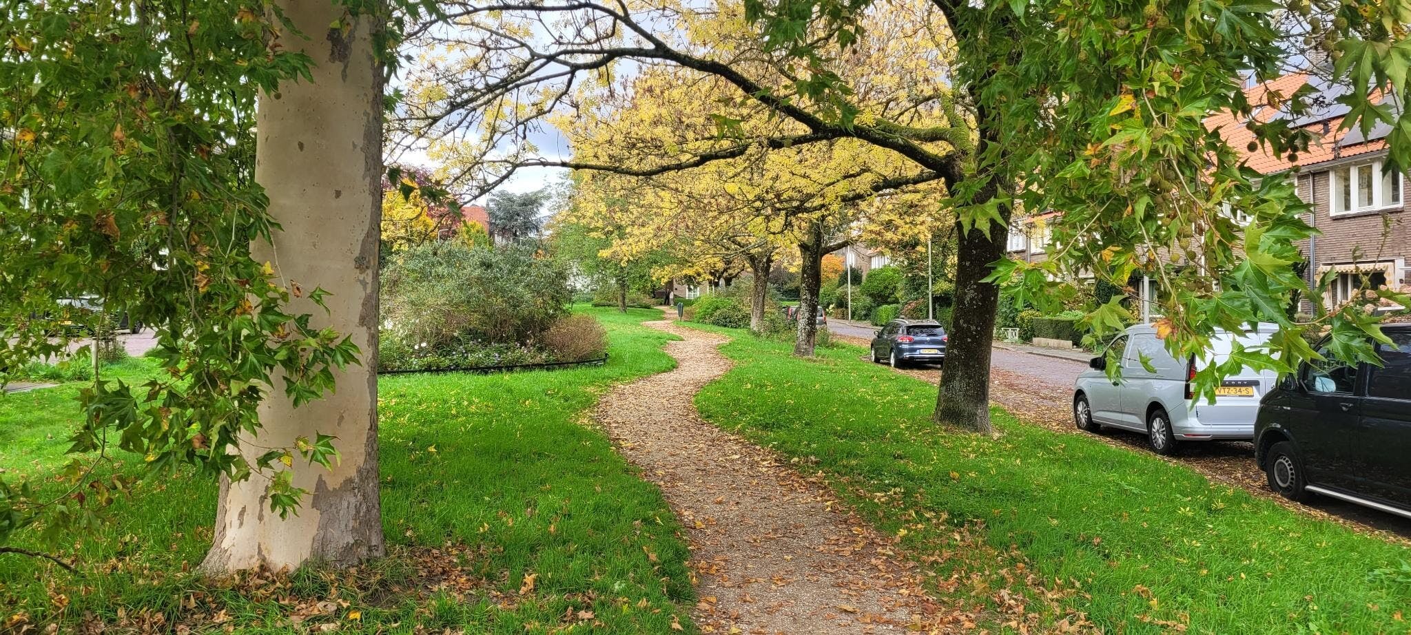 Samen werken aan het parkje in de Groen van Prinstererstraat in 2025 en 2026