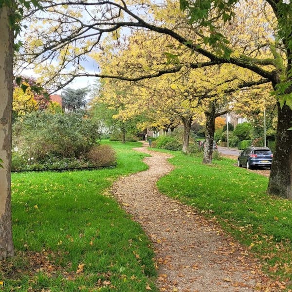 Samen werken aan het parkje in de Groen van Prinstererstraat in 2025 en 2026