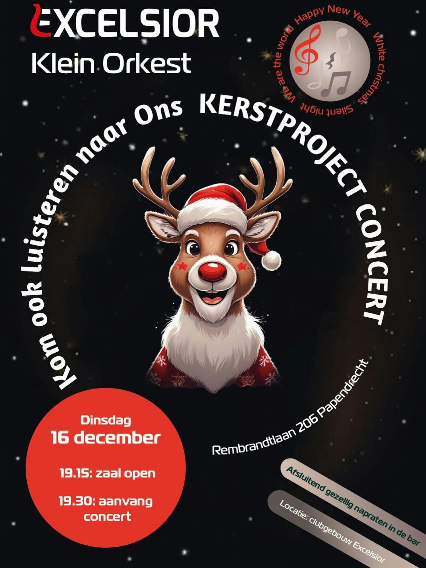Kerstproject Concert