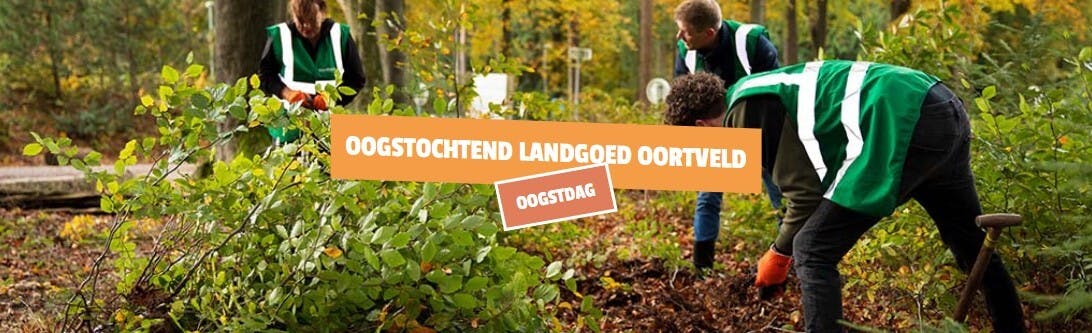 Help mee jonge bomen redden in Beek