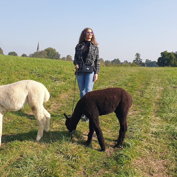 Kerstvakantie toffe activiteit bij wollige alpaca's