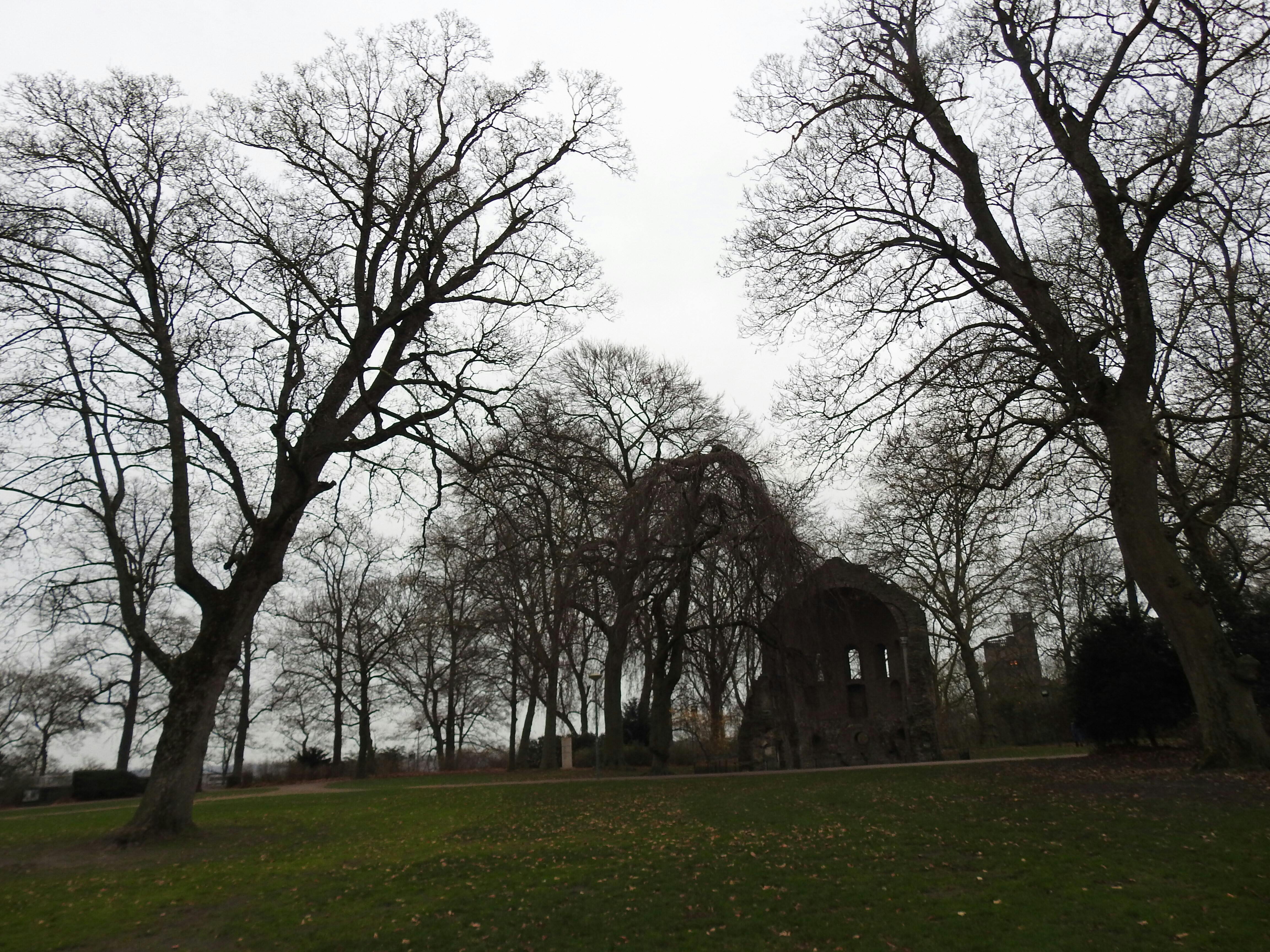 Romeins voedselbos als immaterieel erfgoed, Nijmegen 2025-2026