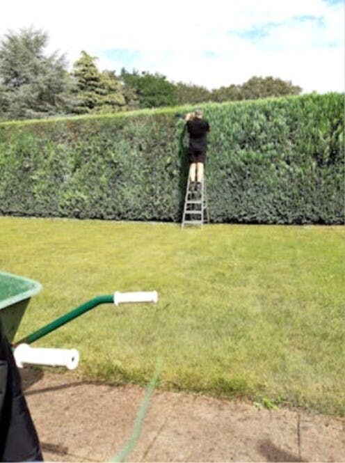 Tuinman/Tuinhulp/Tuinonderhoud 