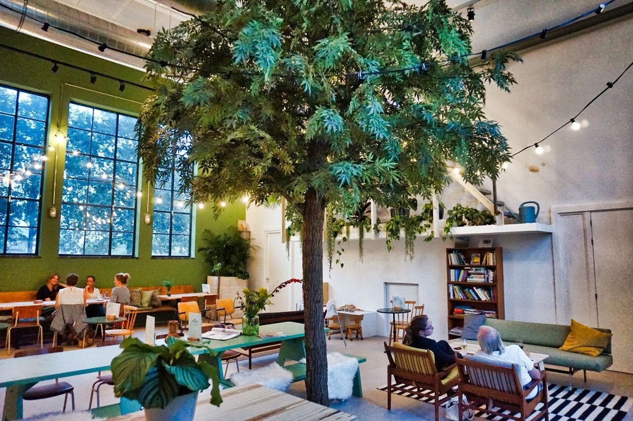 Koffie, film of een expositie: vrijwilliger gevraagd