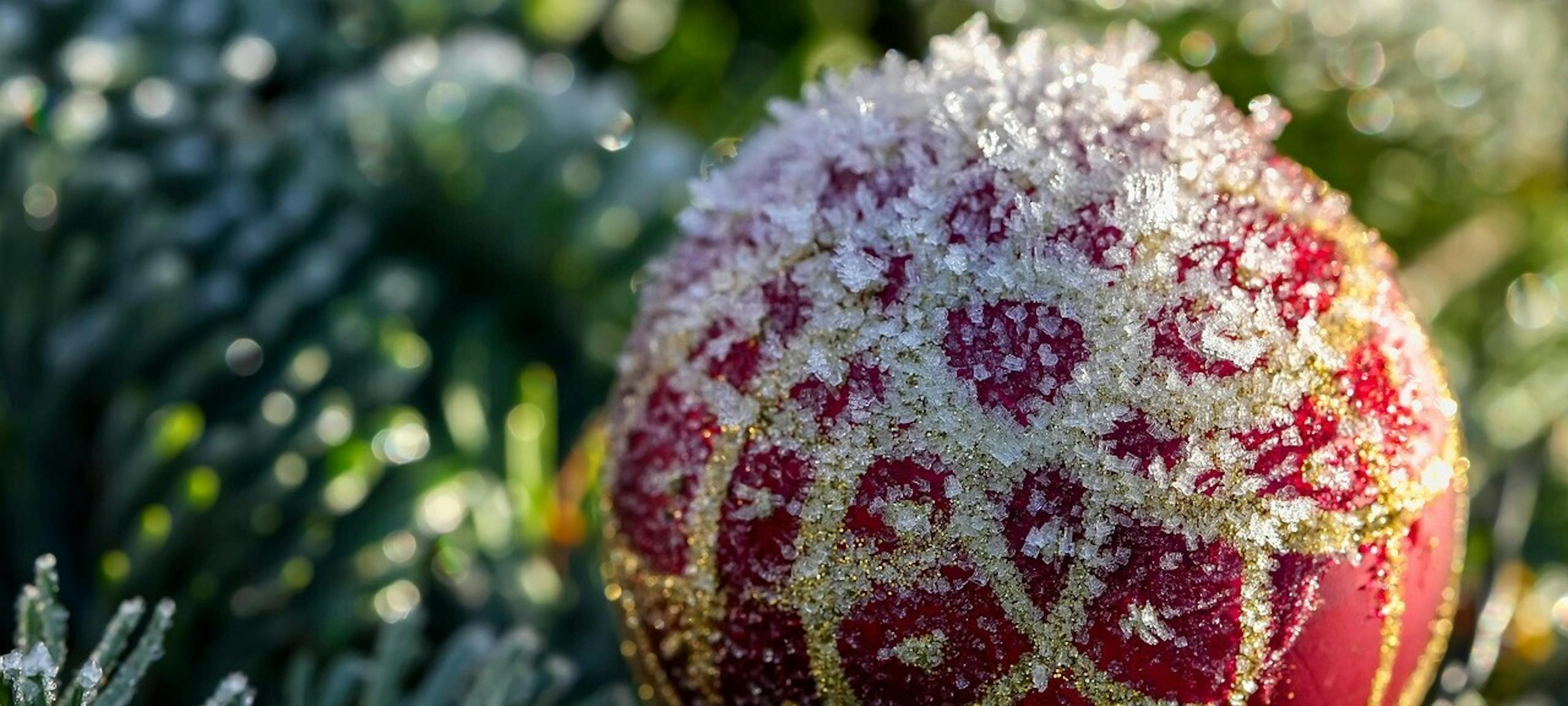 Hét sociale platform voor alle 17 kernen