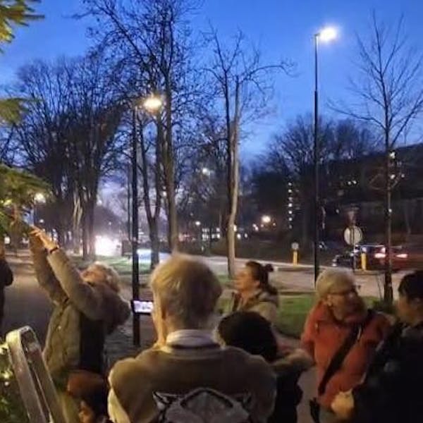 Wensboom brengt wijk samen