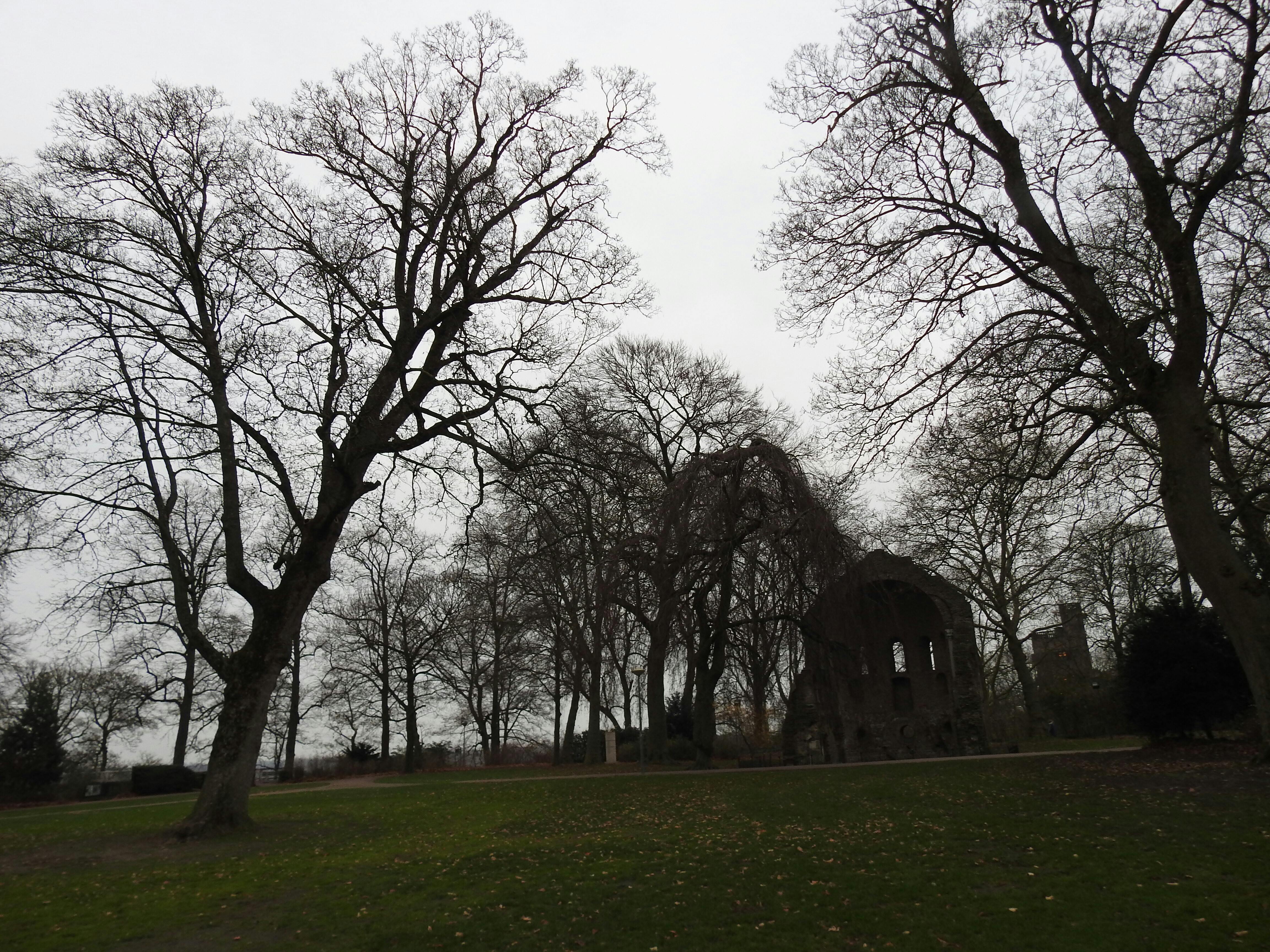 Romeins voedselbos als immaterieel erfgoed, Nijmegen 2025-2026