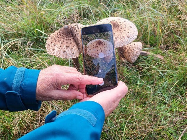 natuurfotografen (met de mobiele telefoon)