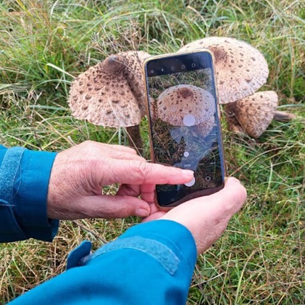 natuurfotografen (met de mobiele telefoon)