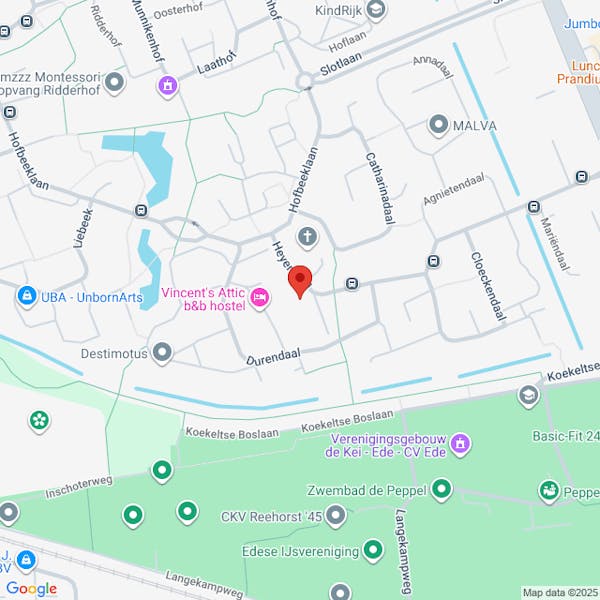 Niet geaccepteerd, Melding, Heyendaal 31 Ede, het kappen van 1 conifeer.