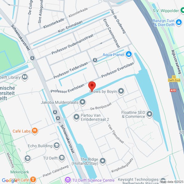 Aanvraag vergunning voor het vervangen van 52 bomen aan kruising van Booijstraat, Schoemakerstraat, Stieltjesweg Delft