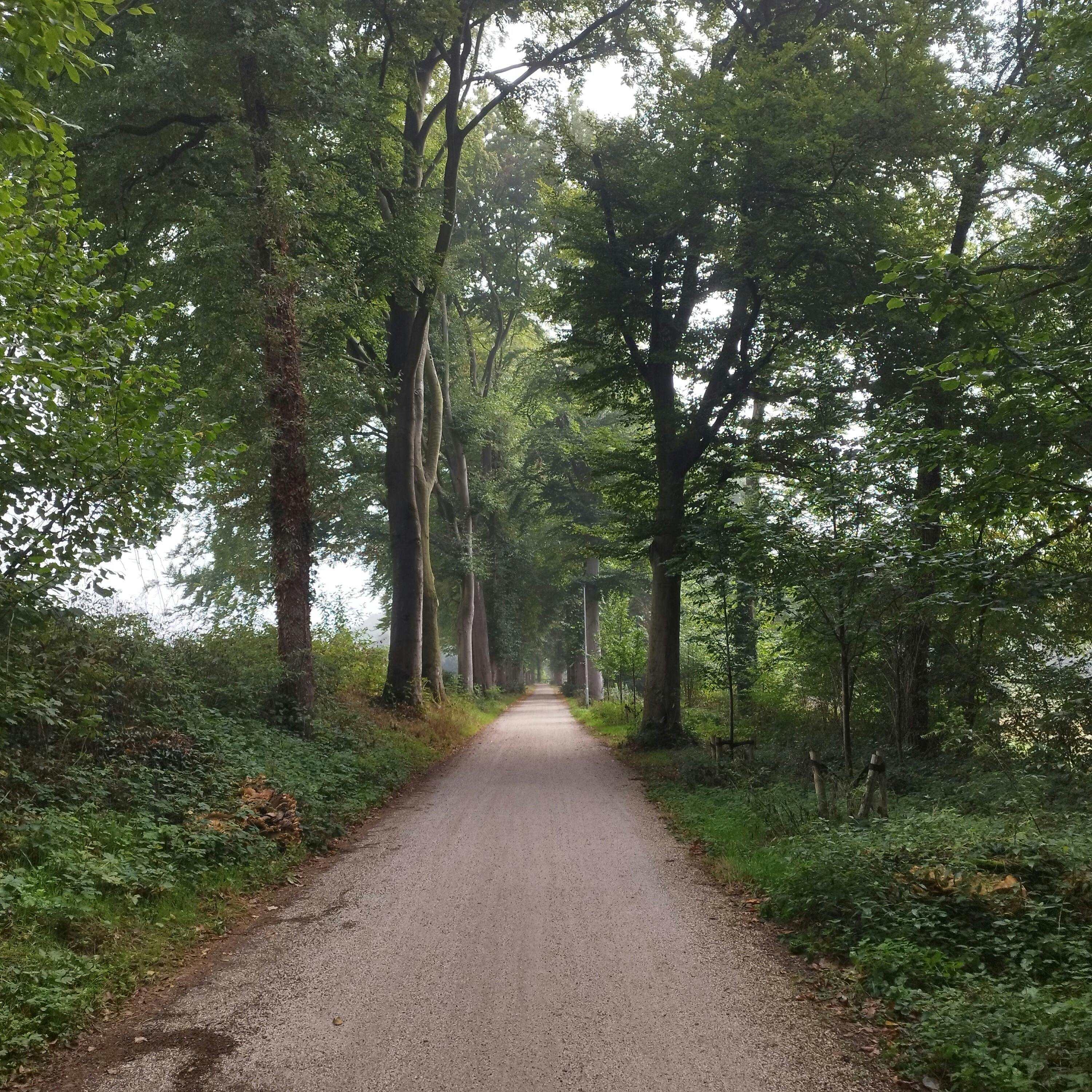 Word vrijwilliger voor de Halve Marathon