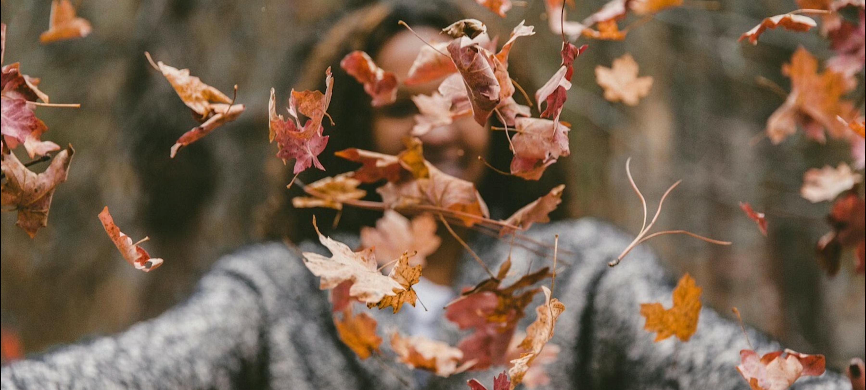 BunnikSamen: Het digitale dorpsplein van Werkhoven, Odijk en Bunnik