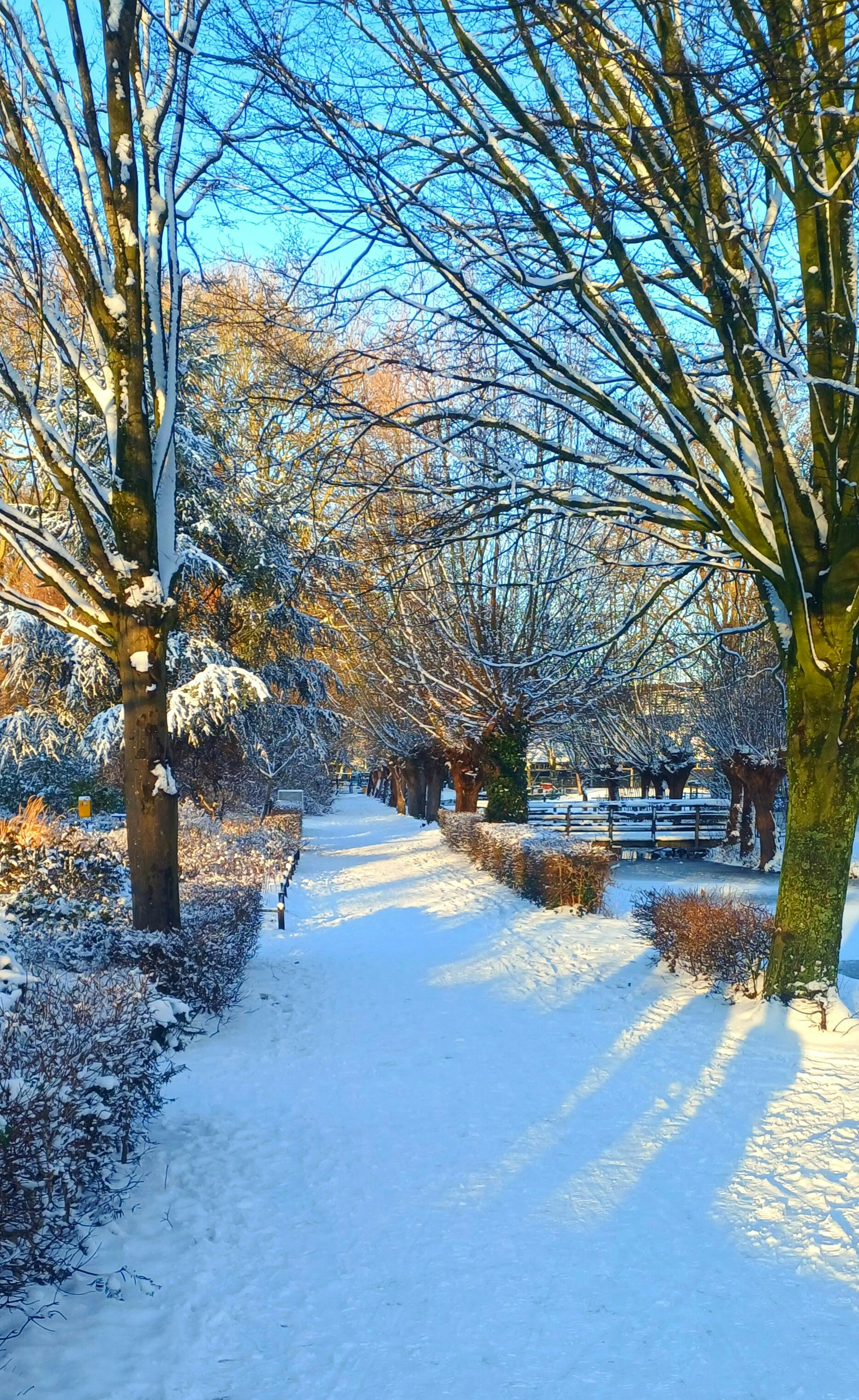 Sneeuwpret. Iedereen geniet. Of toch niet?