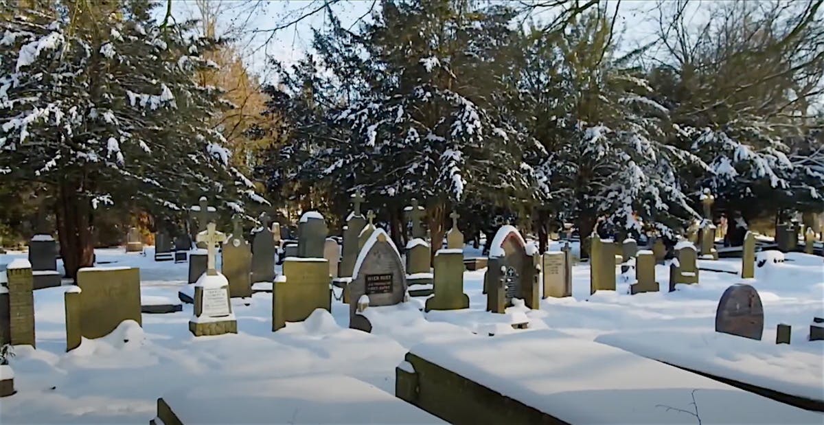 Gedicht over begraafplaats Daalseweg: 'Krakende Poort'