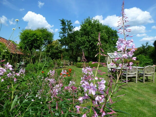 Stel je tuin open tijdens het Open Tuinenweekend 2026